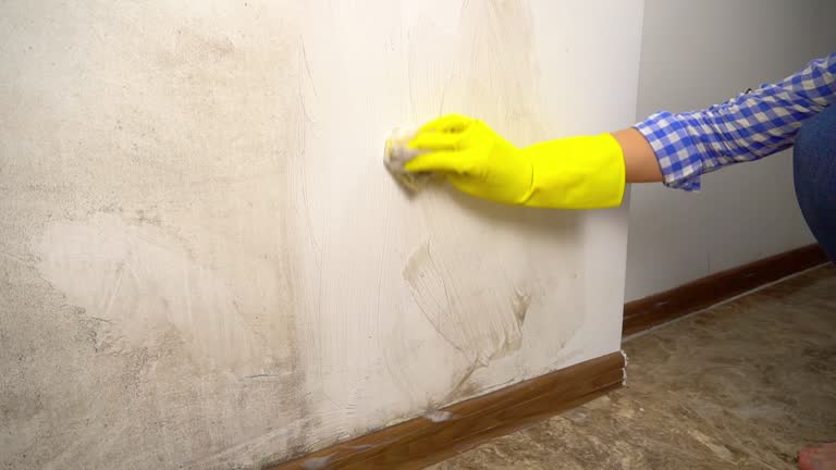 Mold Remediation for Vacation Homes in Saratoga, WY