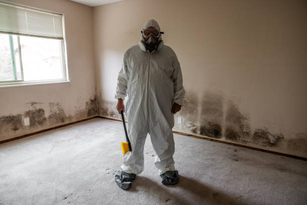 Best Industrial Mold Remediation  in Saratoga, WY